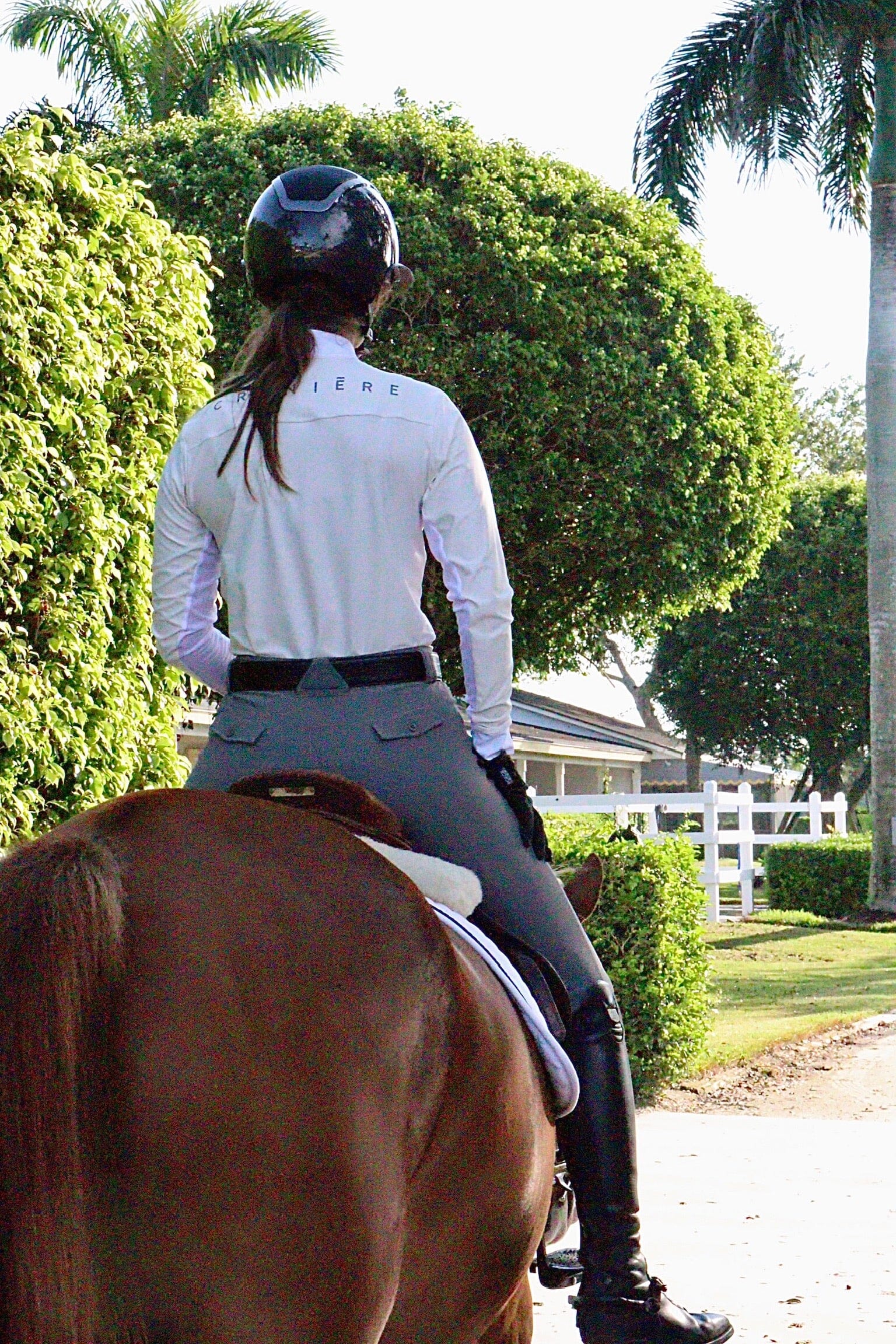Brigitte Limitless Schooling Shirts C R I N I Ē R E
