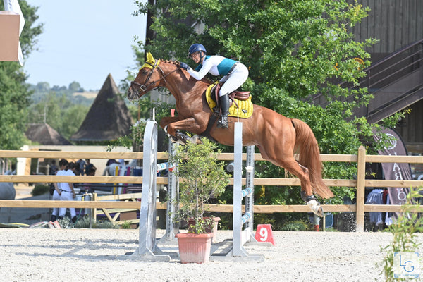 20 Tips to Make You a Better Jumper by Horse Illustrated